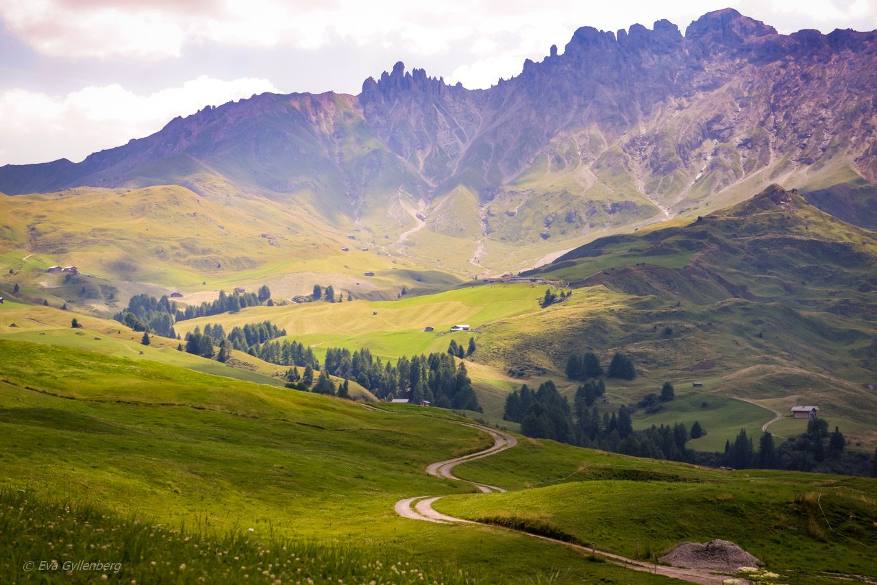 Seiser Alm - Dolomites - Italy