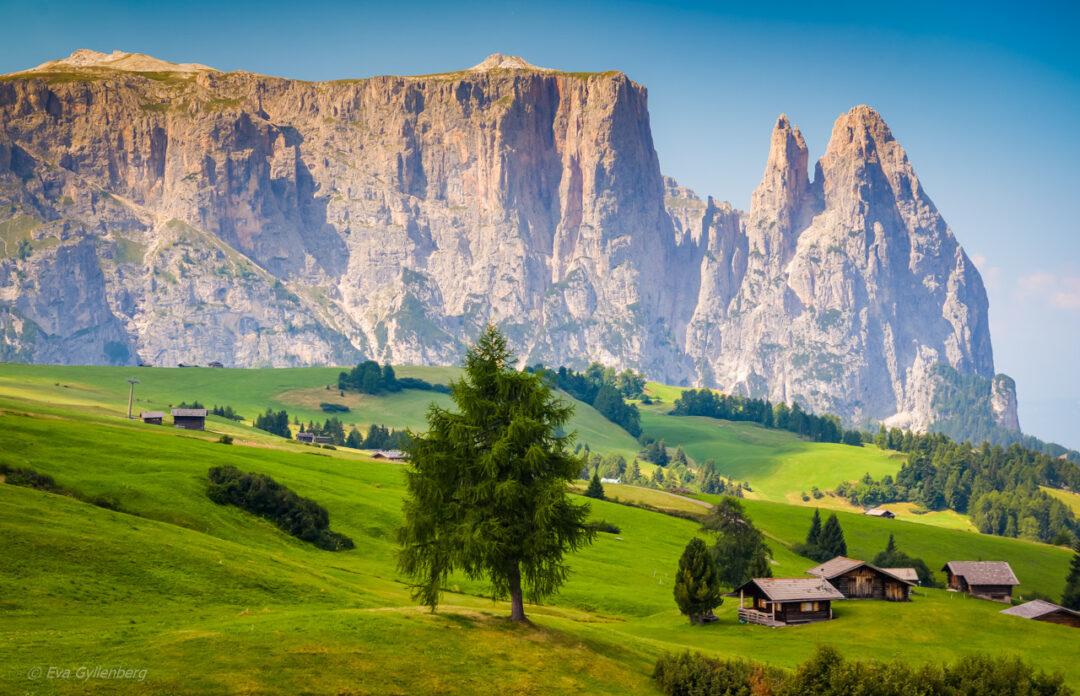 Seiser Alm - Dolomiterna - Italien