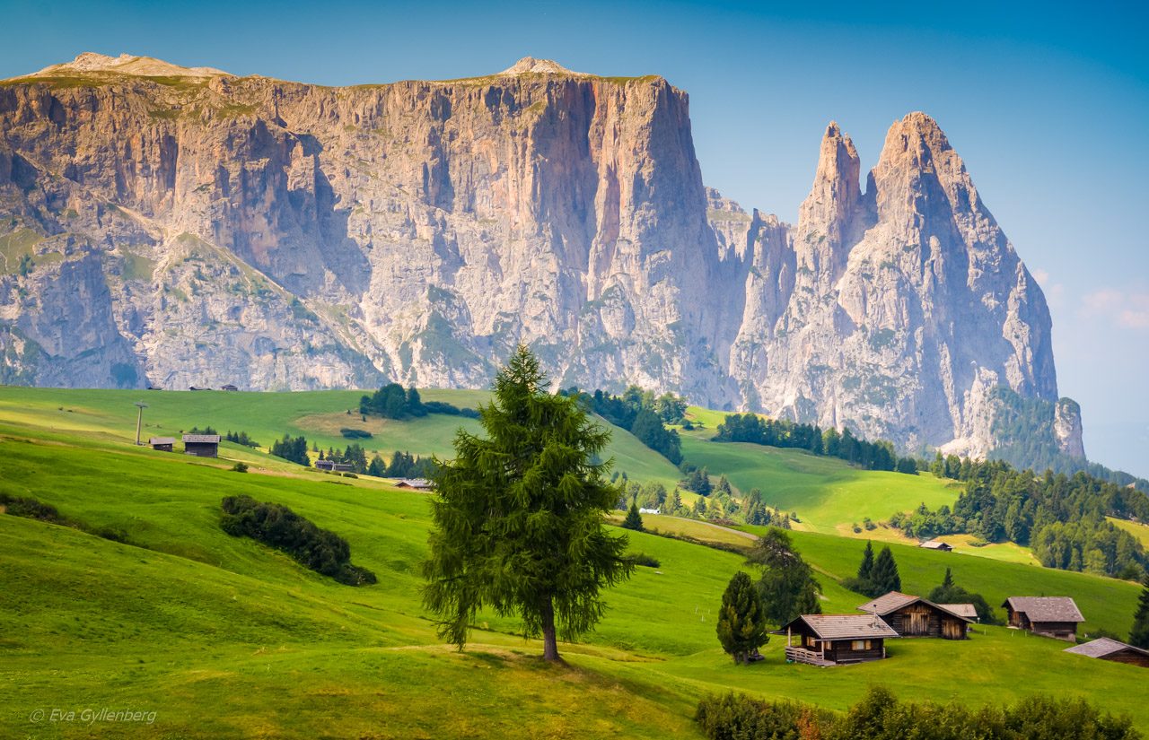Seiser Alm - Dolomiterna - Italien