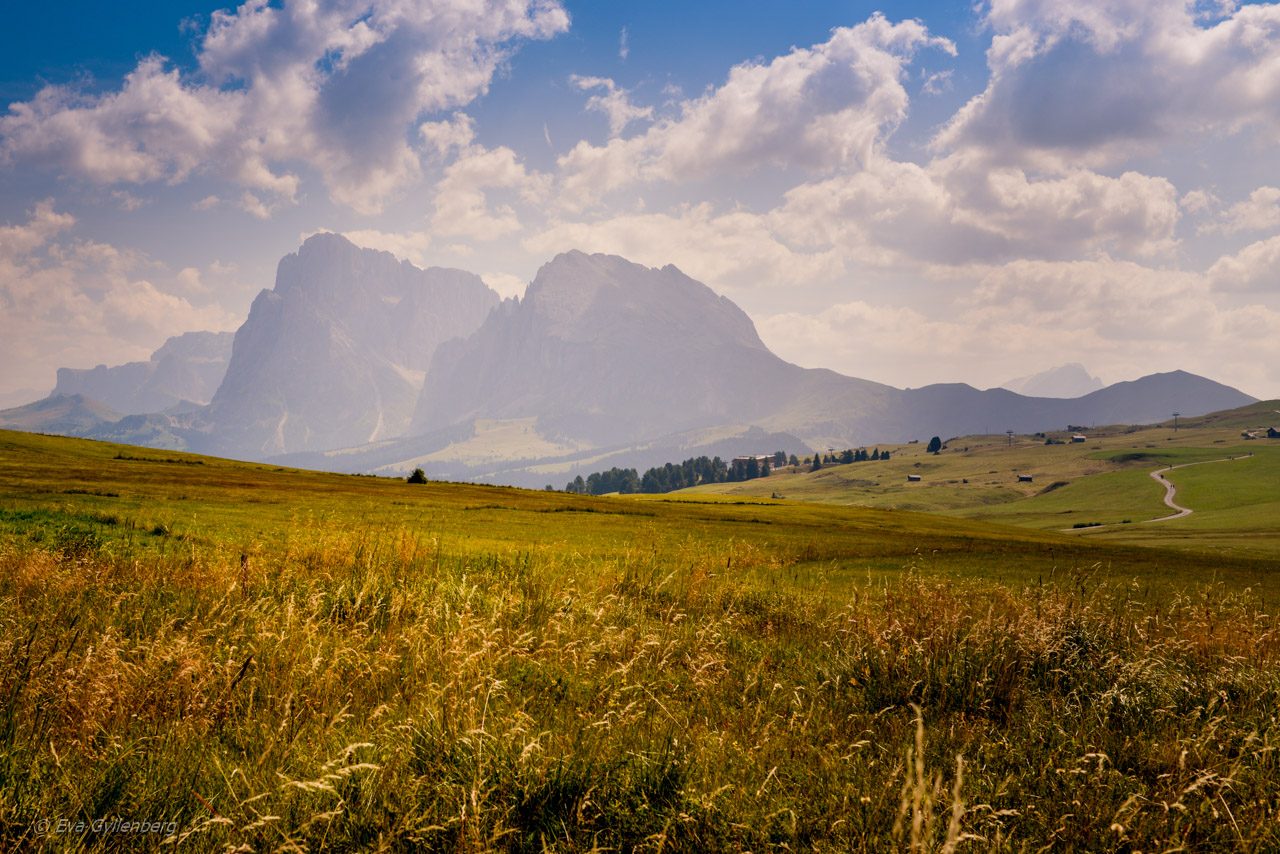 Seiser Alm - Dolomiterna - Italien