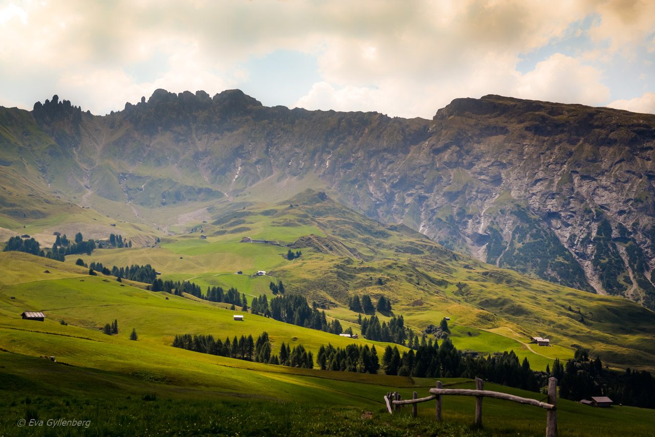 Seiser Alm - Dolomiterna - Italien