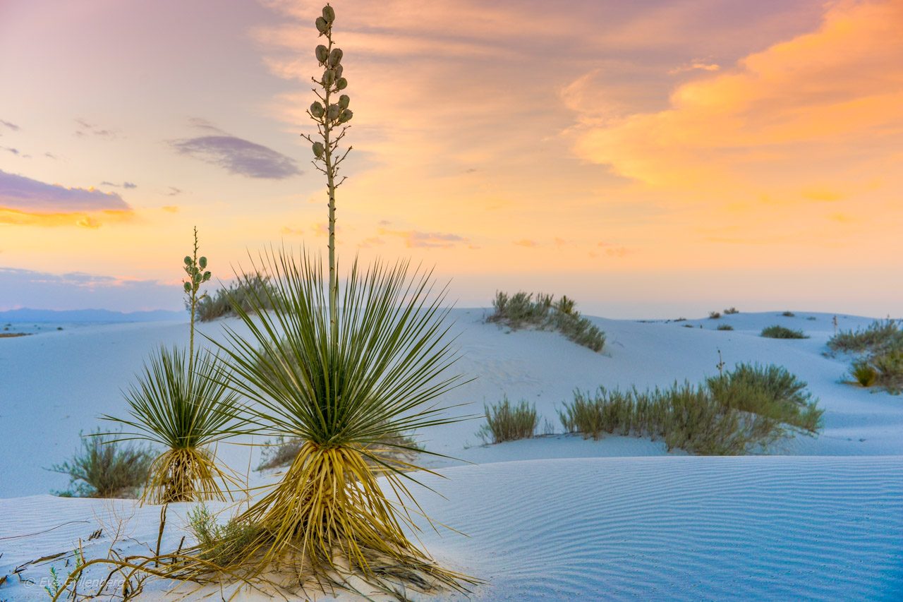 White Sands National Monument - New Mexico