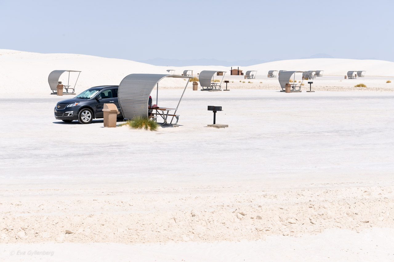 White Sands National Monument - New Mexico (10)