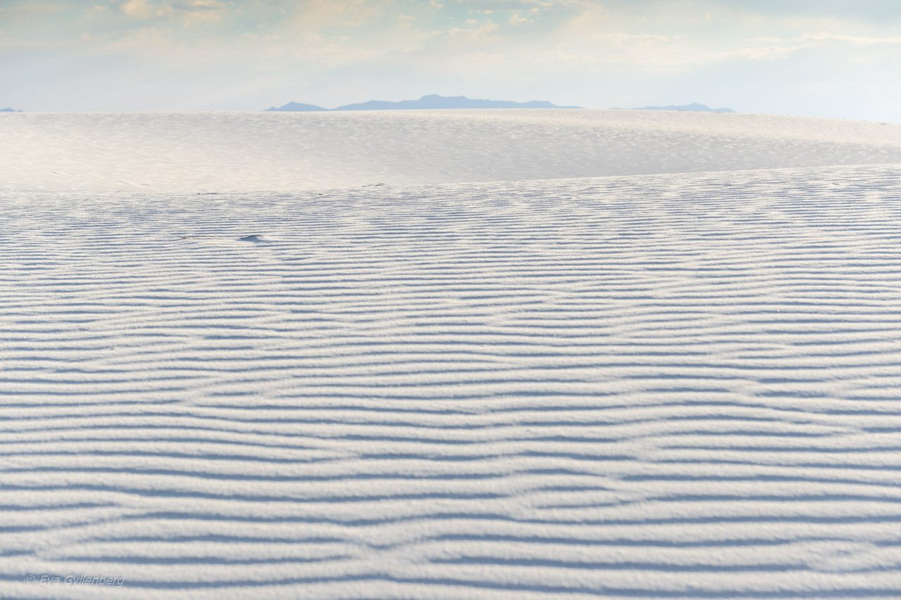 White Sands National Monument - New Mexico (19)