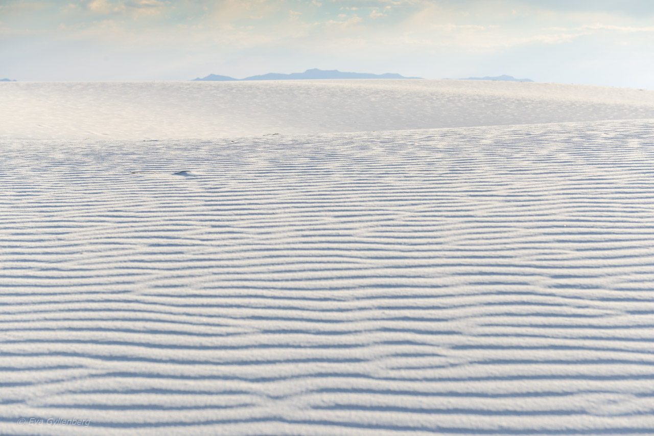 White Sands National Park - New Mexico (19)