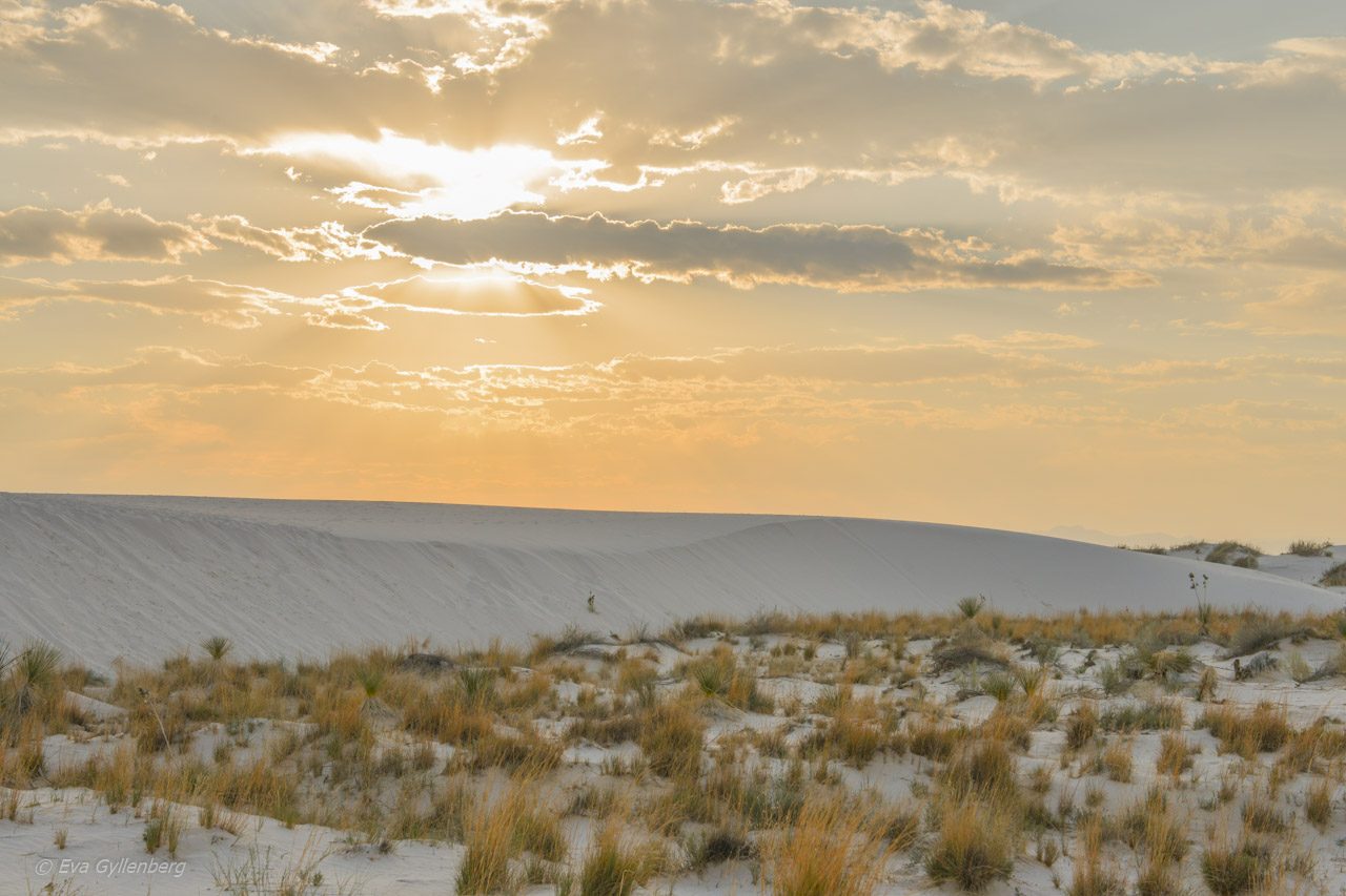 White Sands National Monument - New Mexico