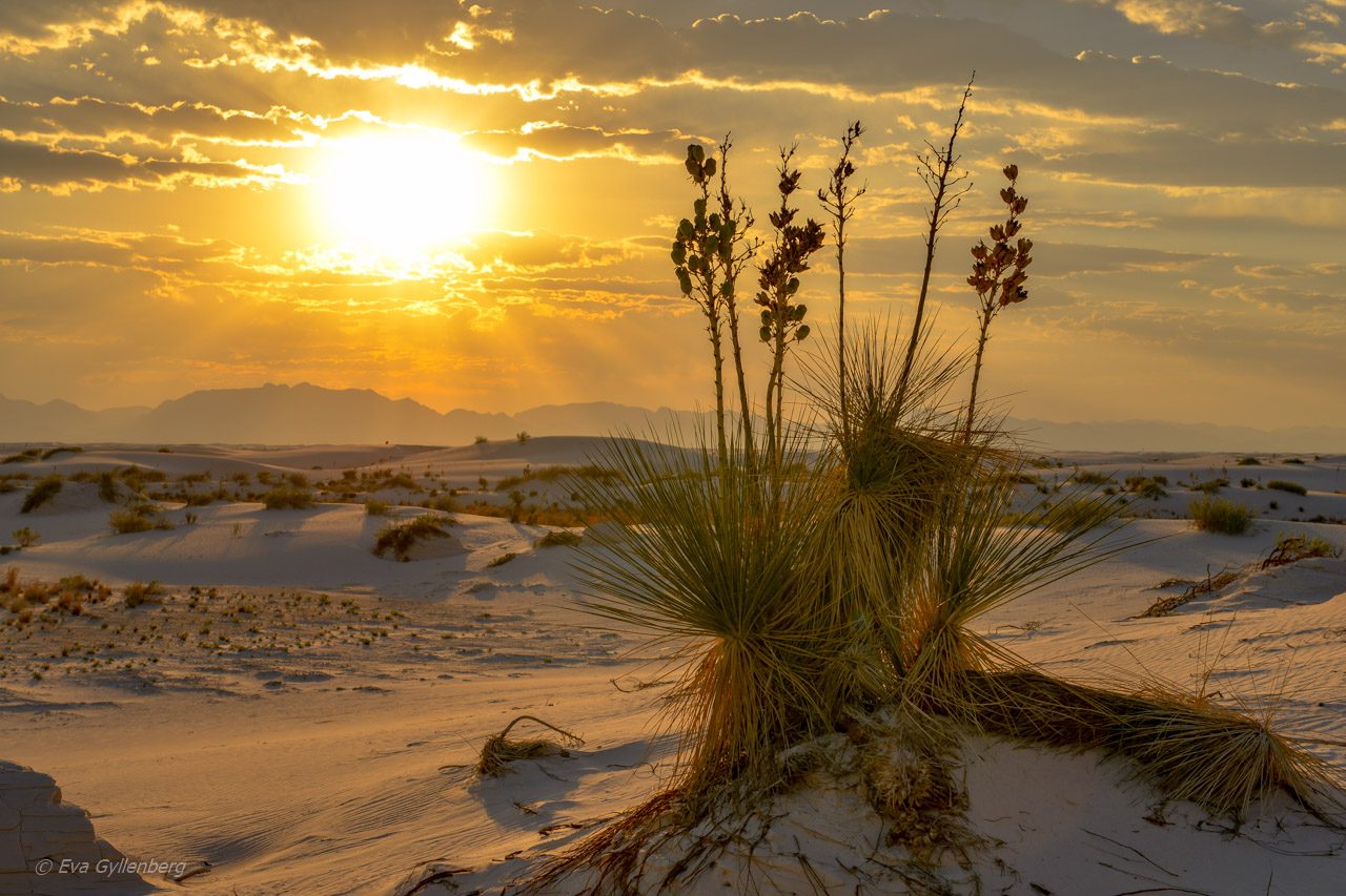 White Sands National Monument - New Mexico