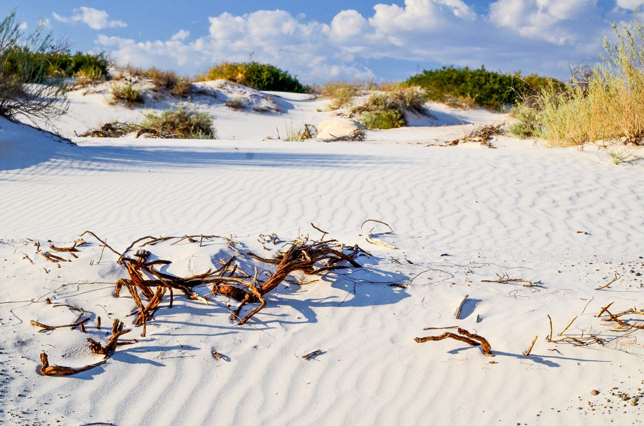 White Sands National Monument - New Mexico