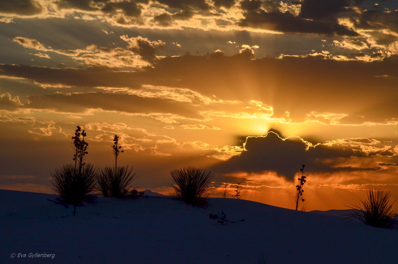 White Sands National Monument - New Mexico