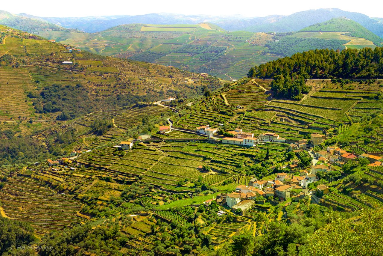 Dourodalen - Portugal