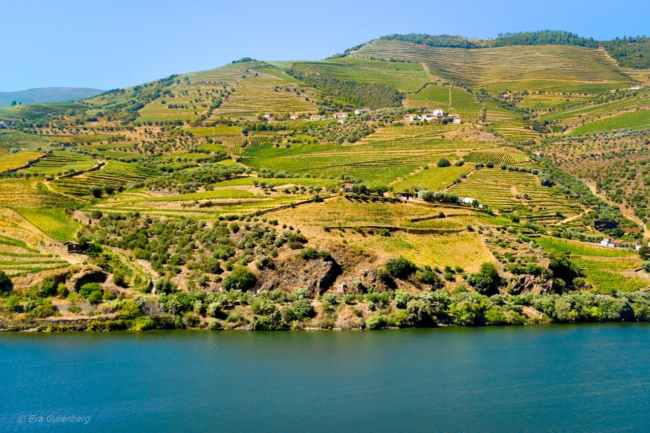 Dourodalen - Portugal