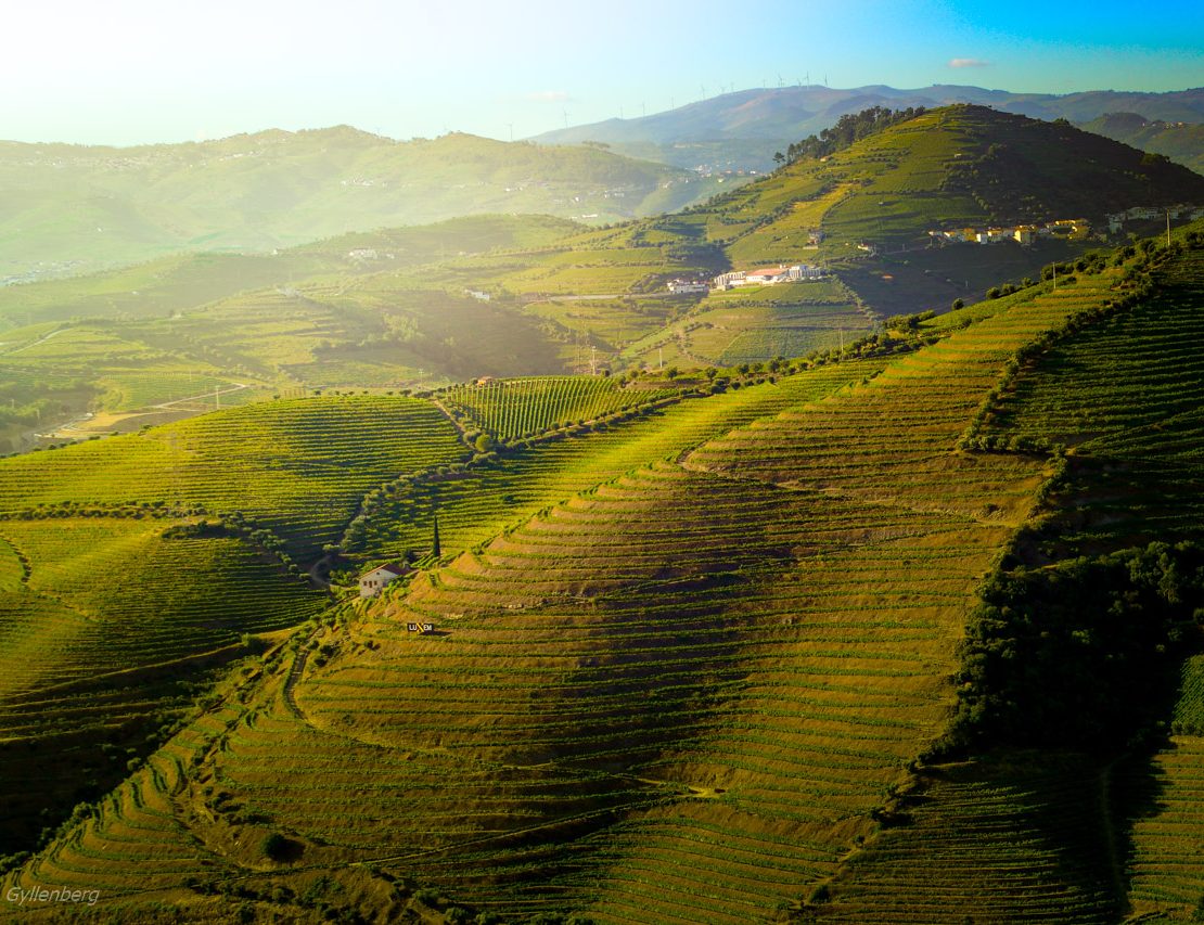 Dourodalen - Portugal
