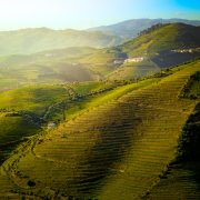 Dourodalen - Portugal
