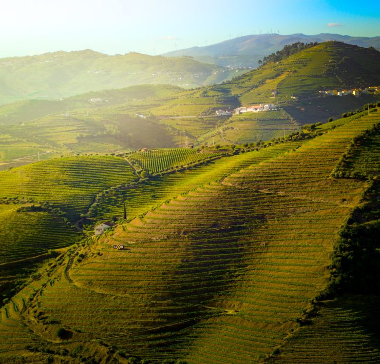 Dourodalen - Portugal