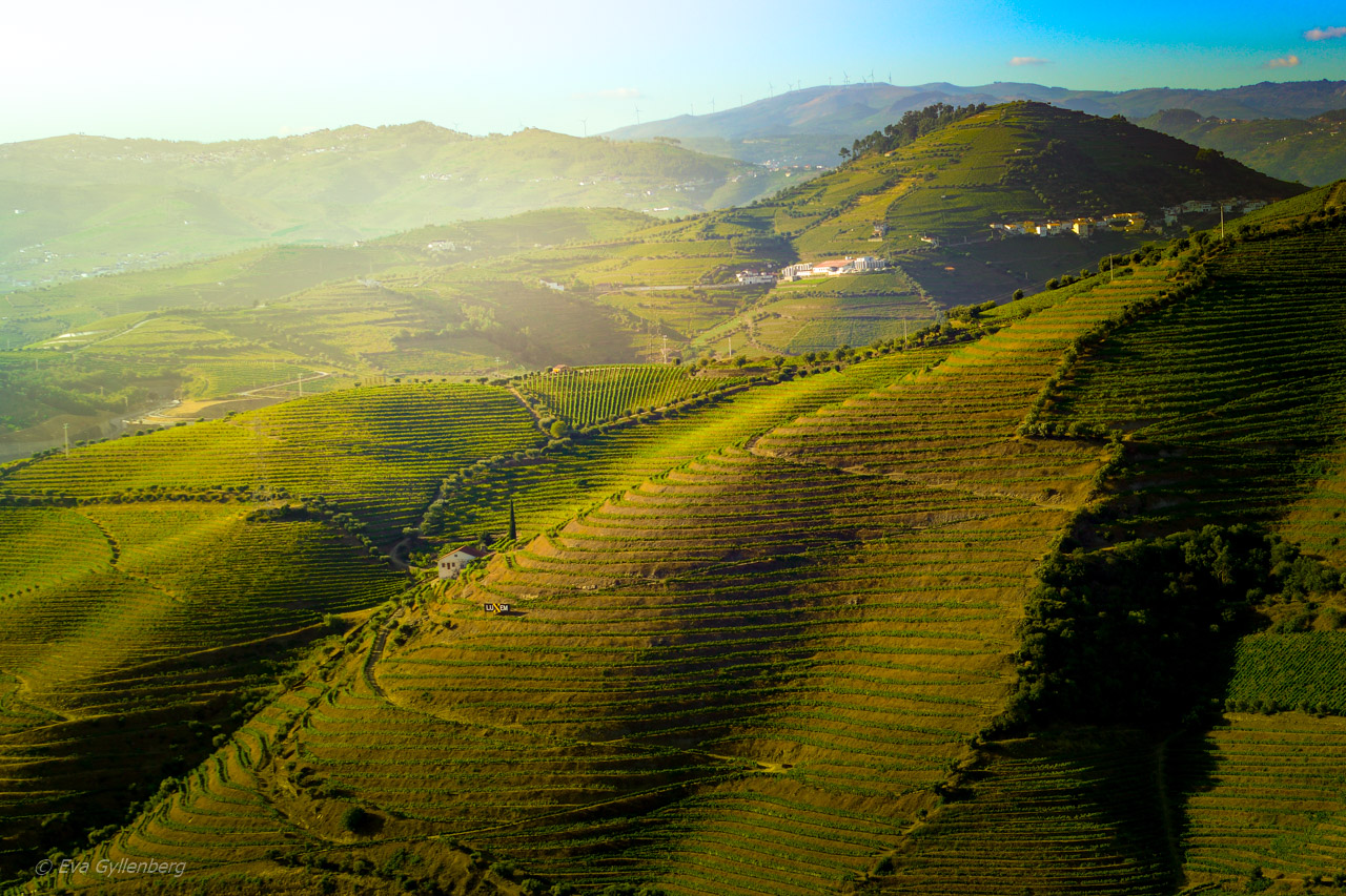 Dourodalen - Portugal