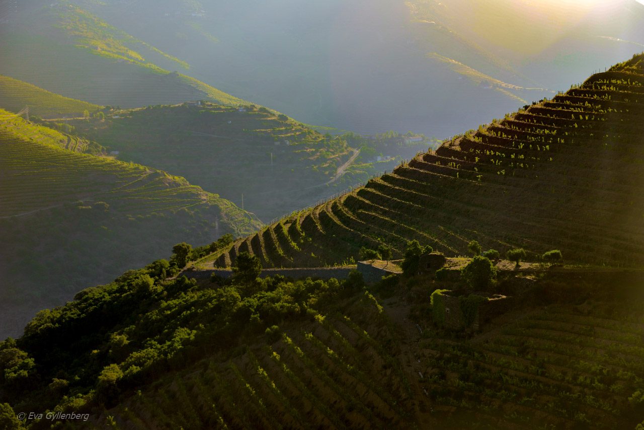 Dourodalen - Portugal