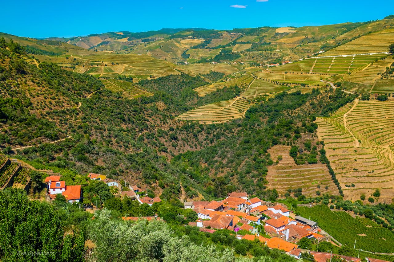 Dourodalen - Portugal