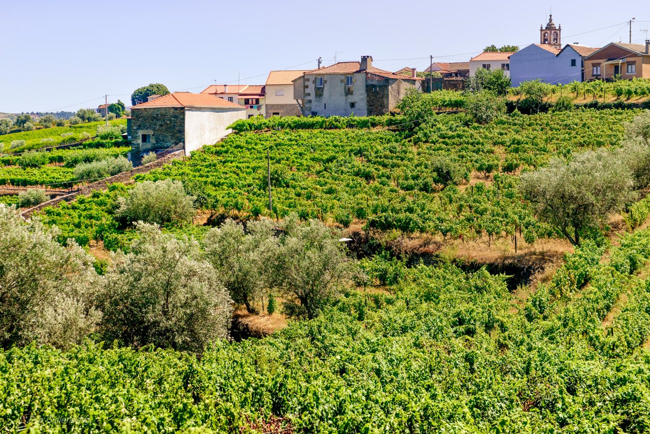 Dourodalen - Portugal