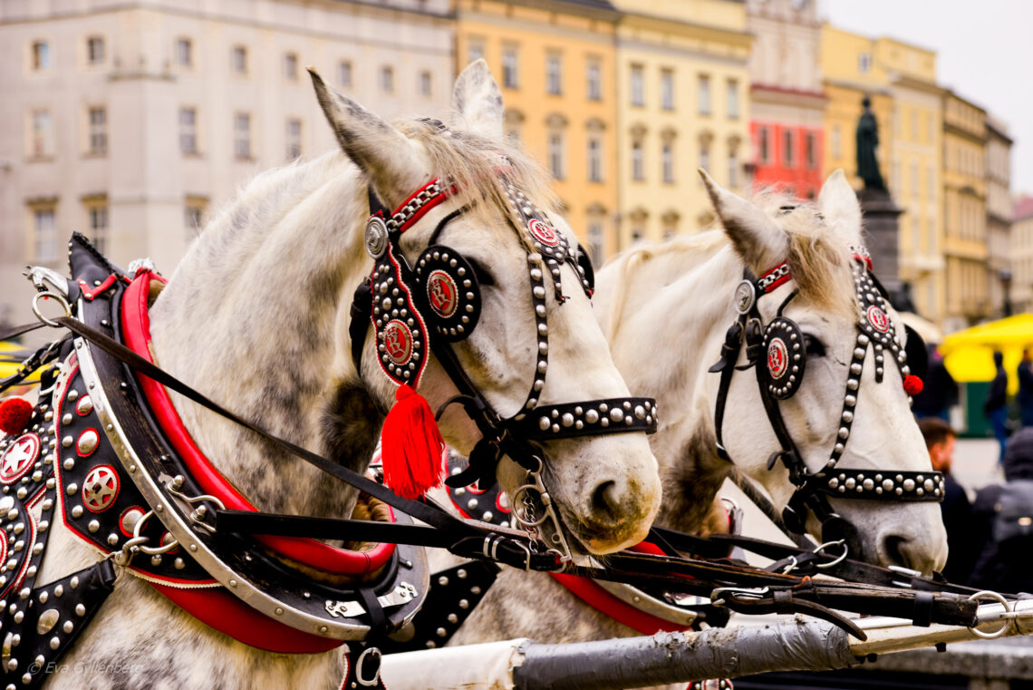 Krakow 