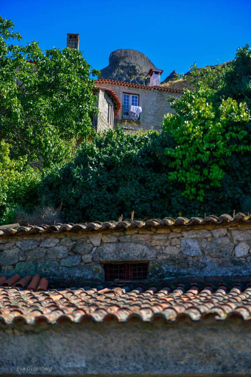 Monsanto - Portugal