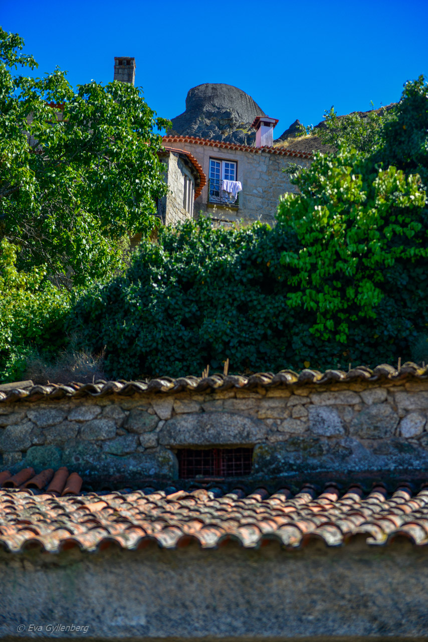 Monsanto - Portugal