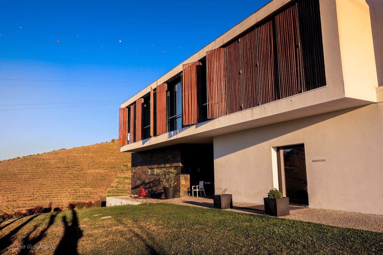 Quinta de Casaldronho - vingård i douro