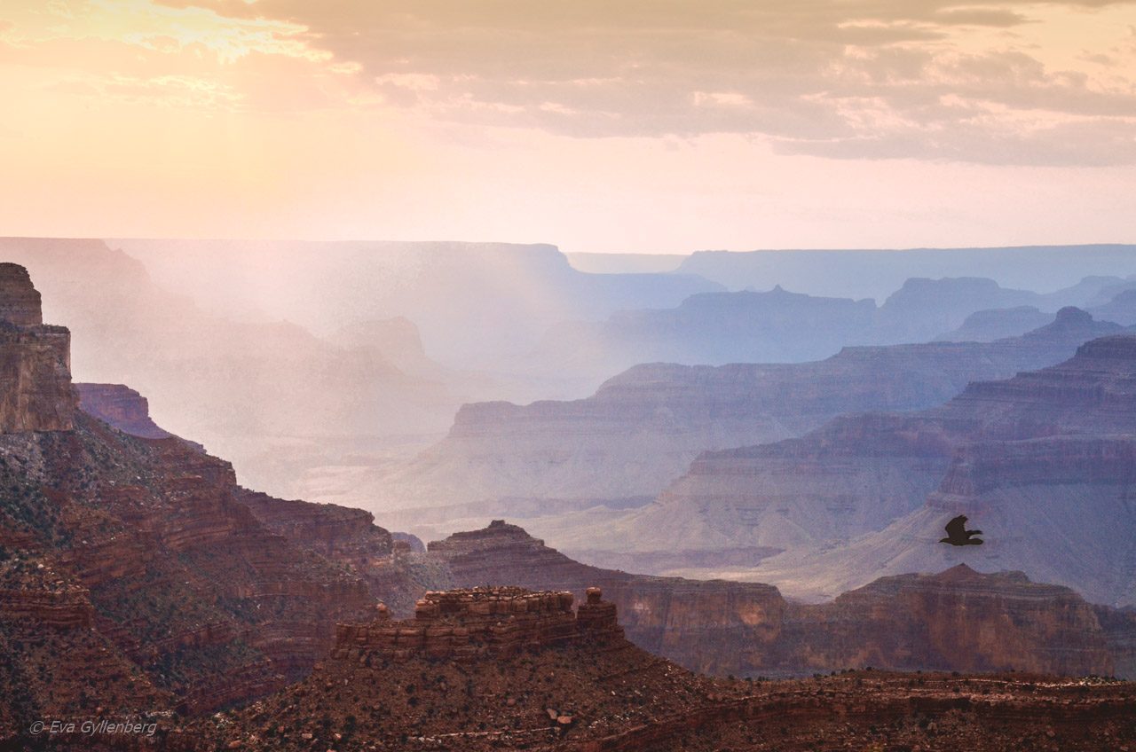 Grand Canyon - Arizona - USA