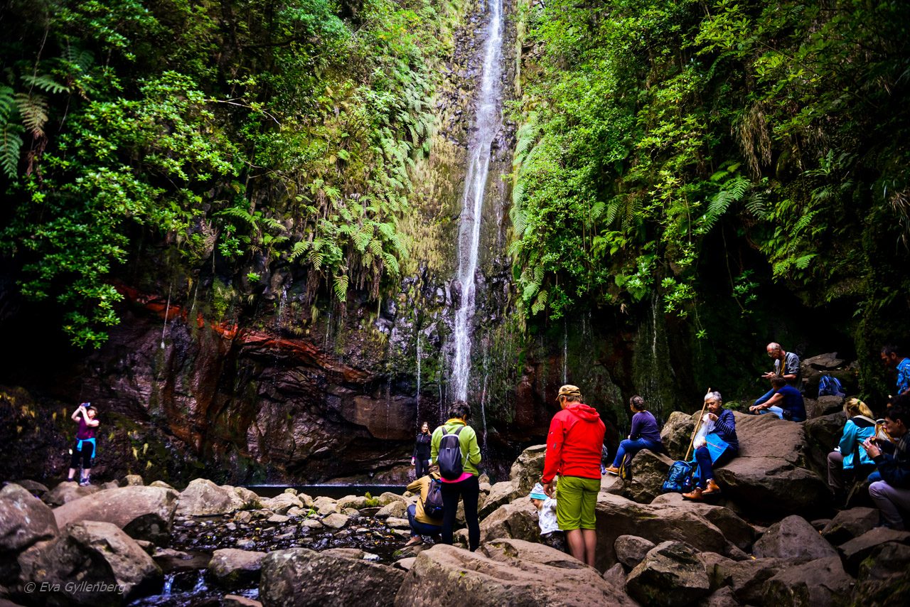 Levadavandring - Rabacal - Madeira