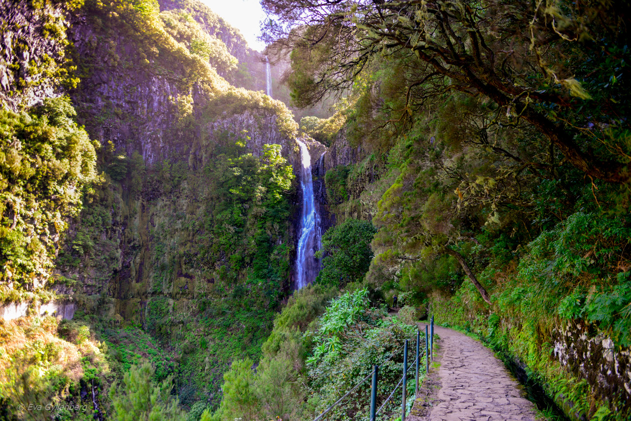Levadavandring - Rabacal - Madeira