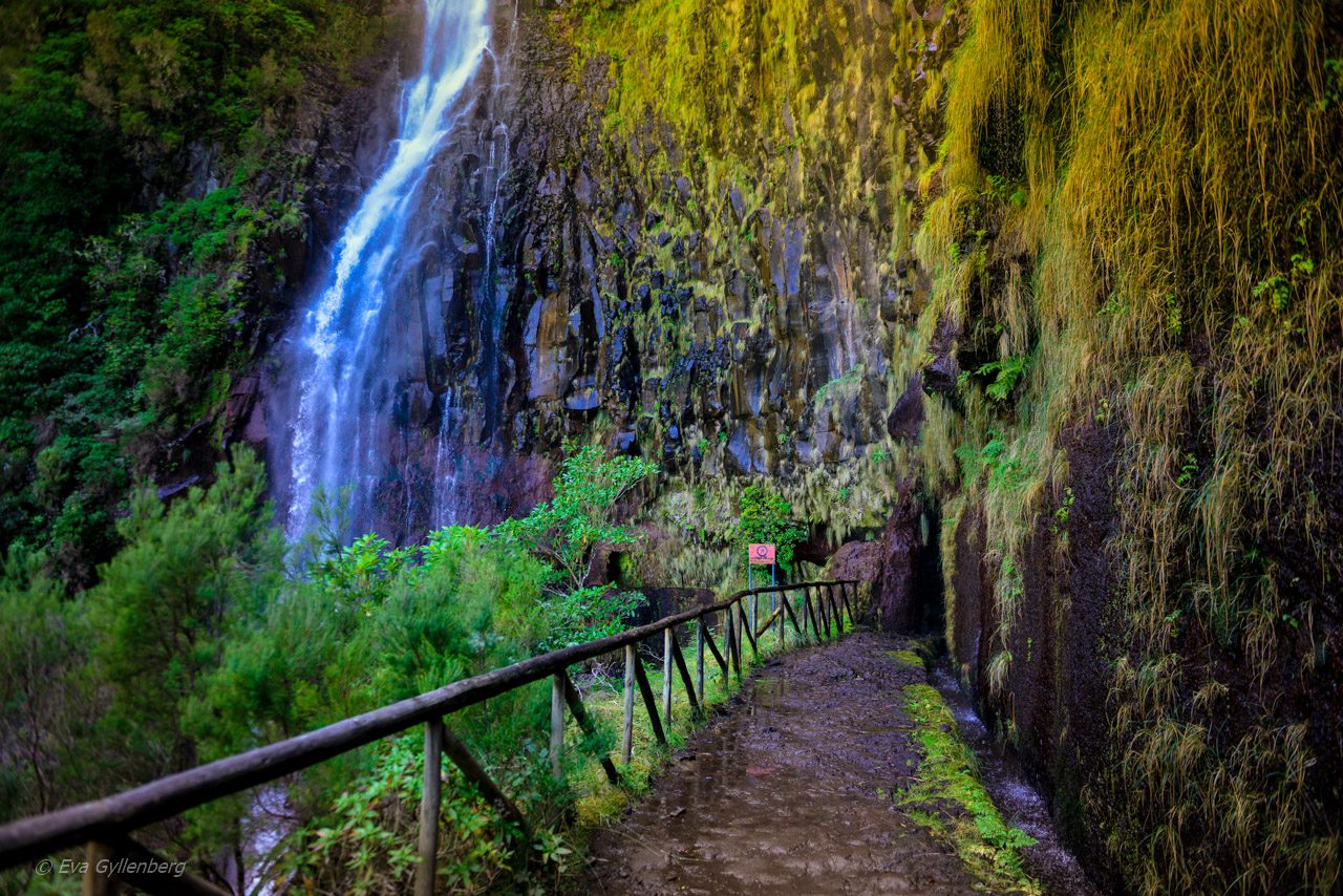 Levadavandring - Rabacal - Madeira