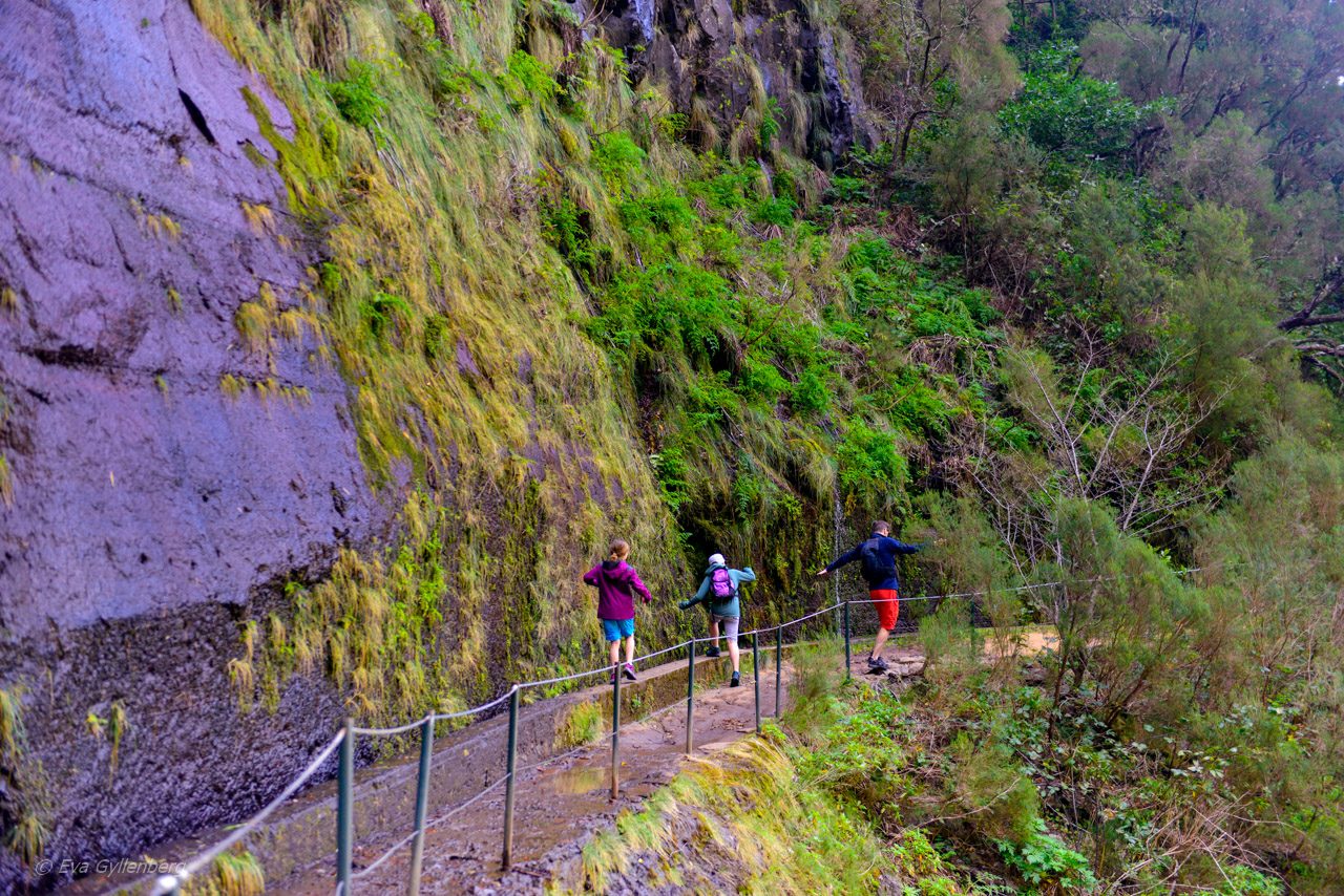 Levadavandring - Rabacal - Madeira