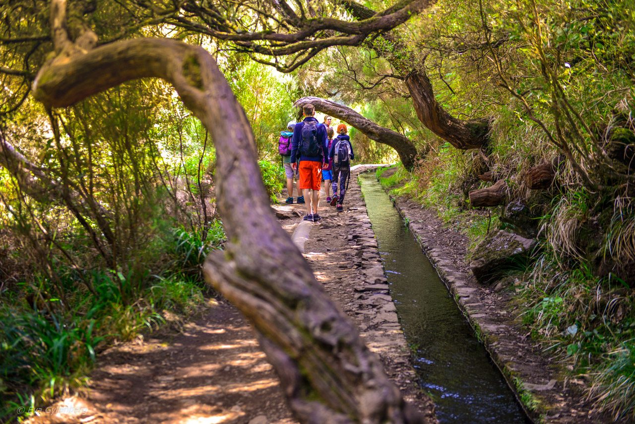 Levadavandring - Rabacal - Madeira