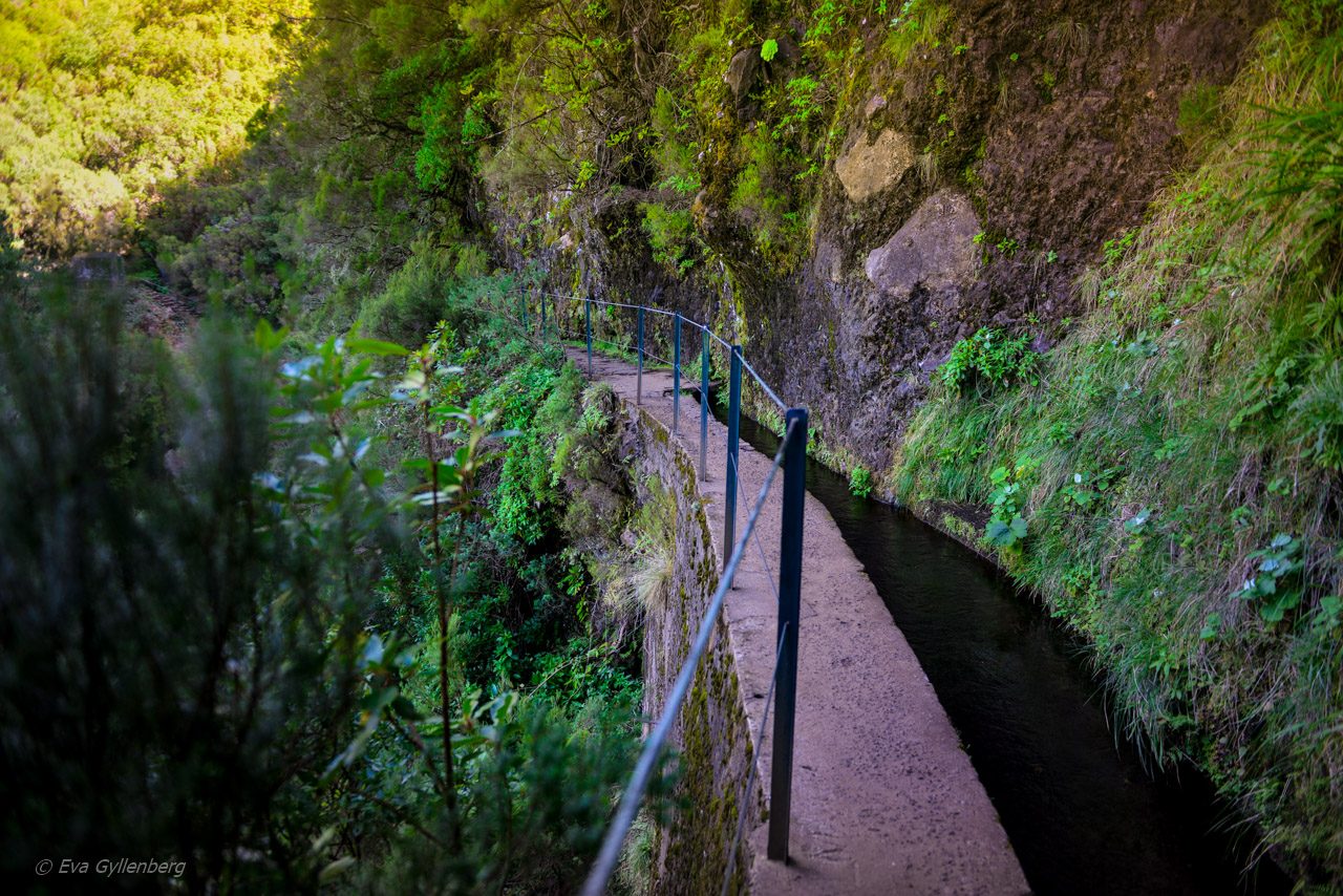 Levadavandring - Rabacal - Madeira