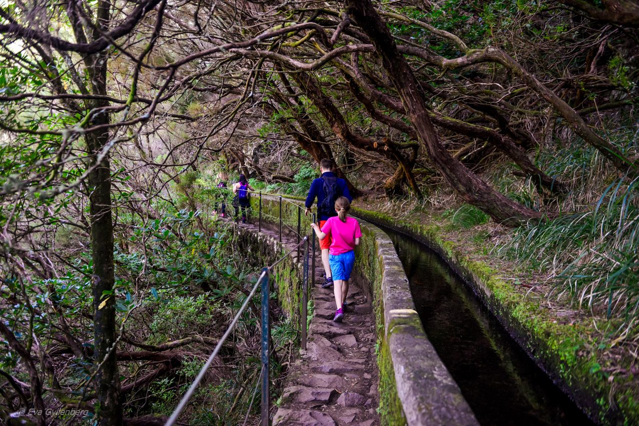 Levadavandring - Rabacal - Madeira