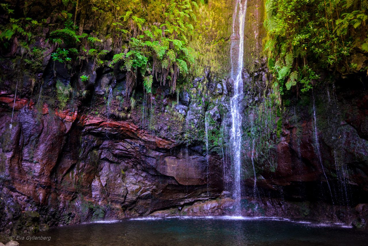 Levadavandring - Rabacal - Madeira