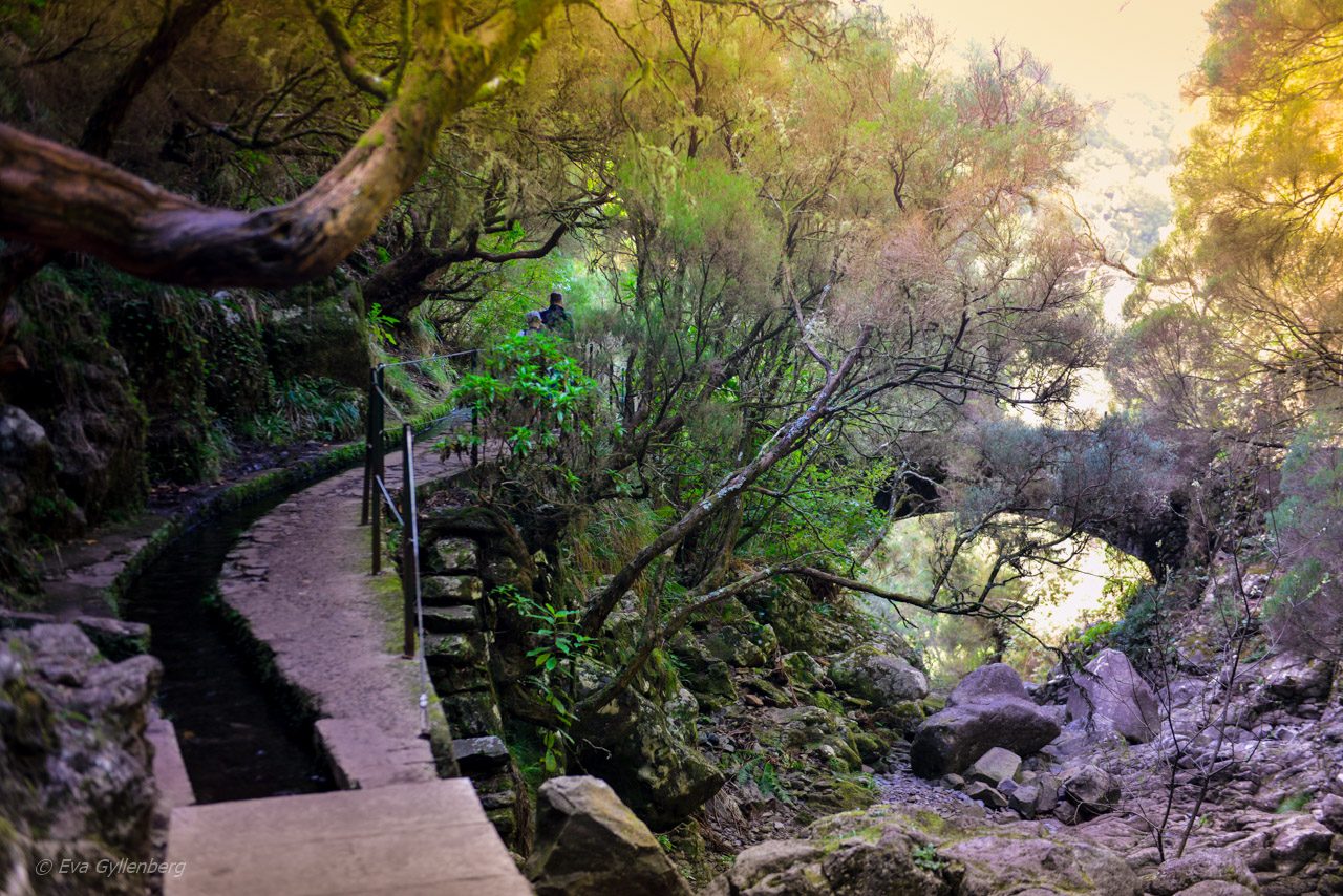 Levadavandring - Rabacal - Madeira