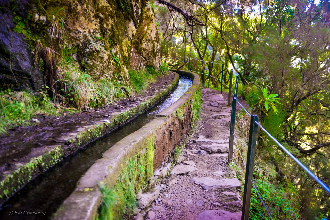 Levadavandring - Rabacal - Madeira