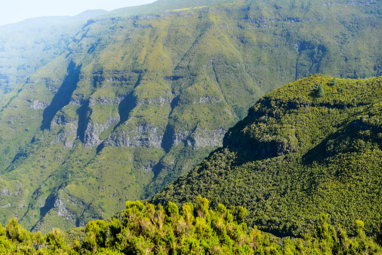 Levada hiking - Rabacal - Madeira