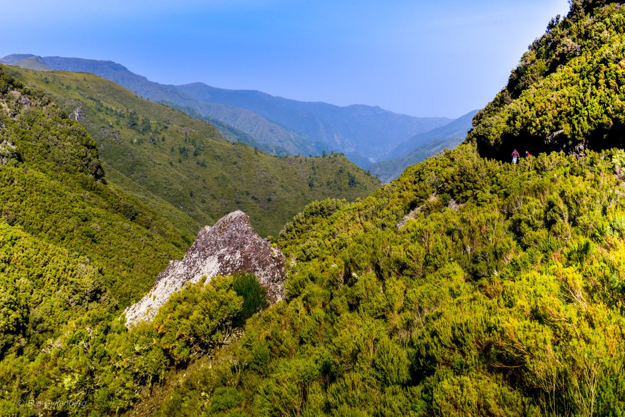Levadavandring - Rabacal - Madeira