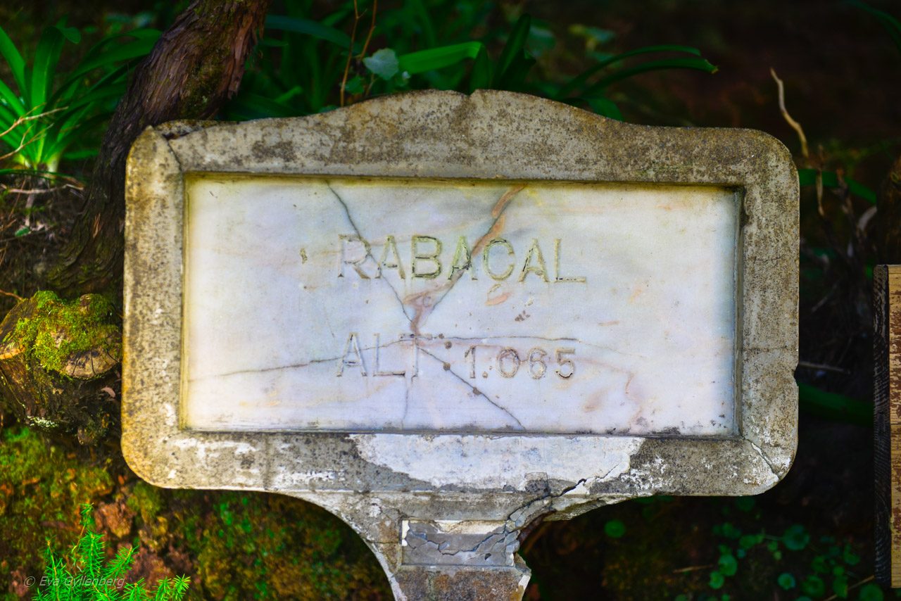 Levadavandring - Rabacal - Madeira
