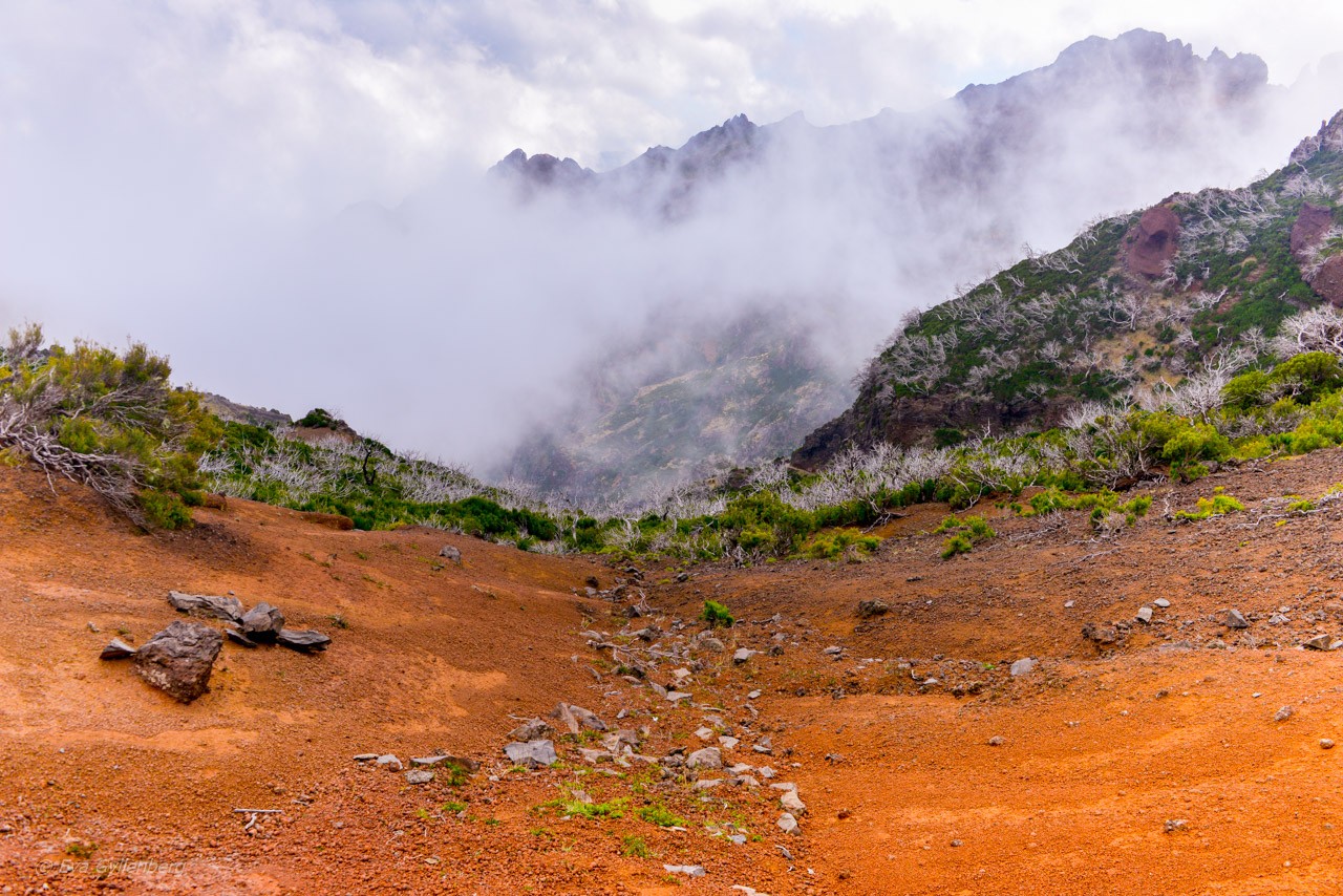 Pico Ruivo - Madeira