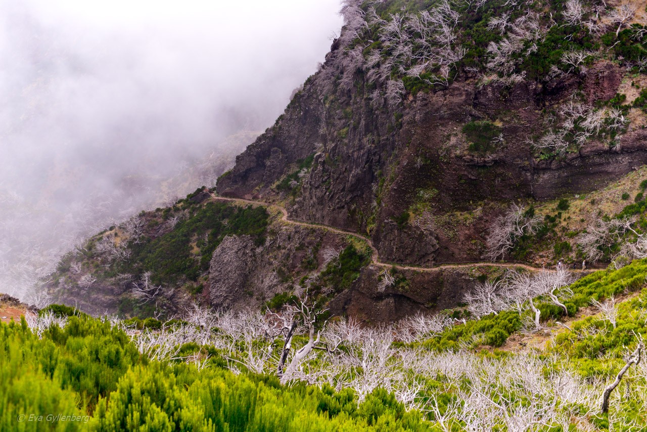 Pico Ruivo - Madeira