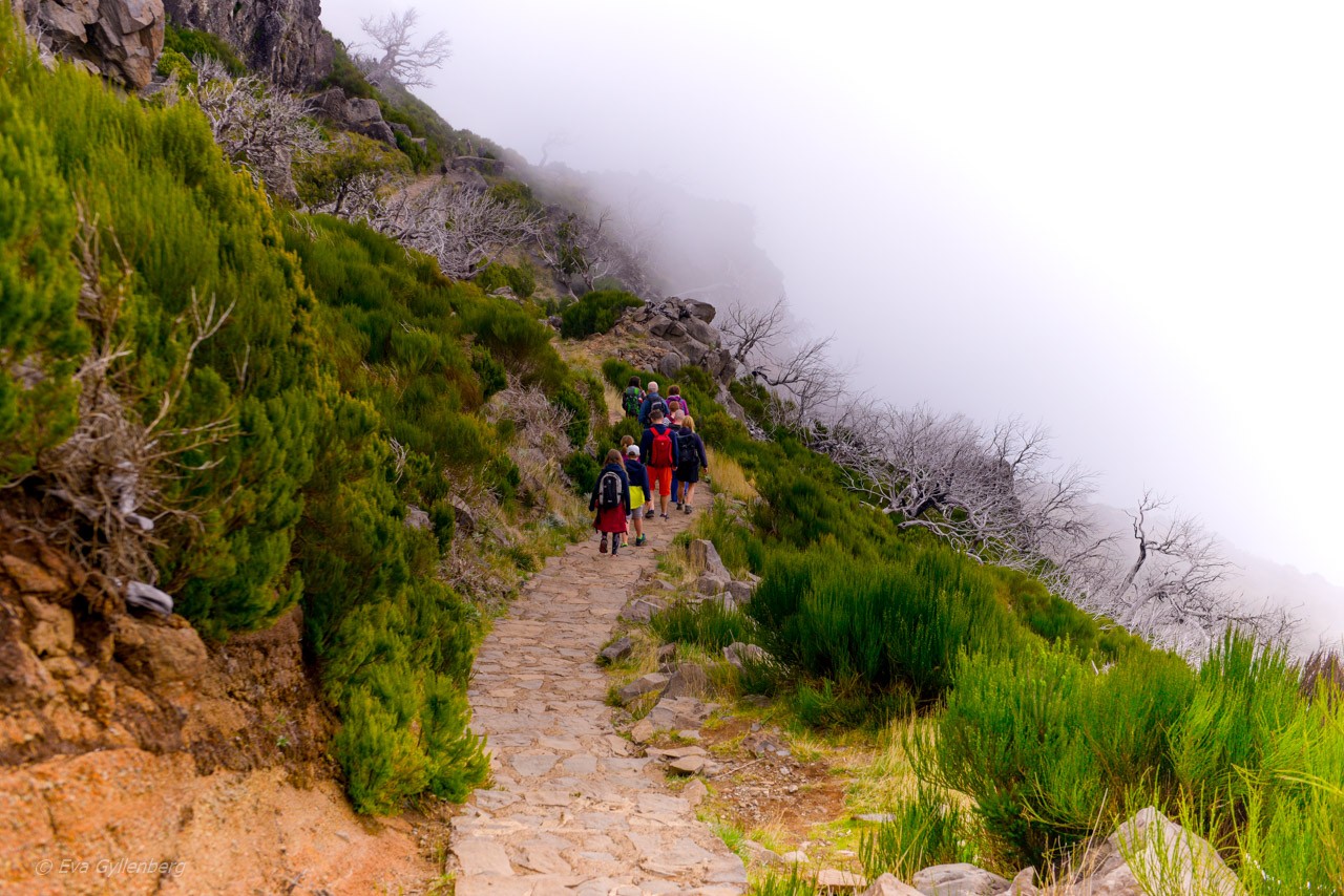 Pico Ruivo - Madeira