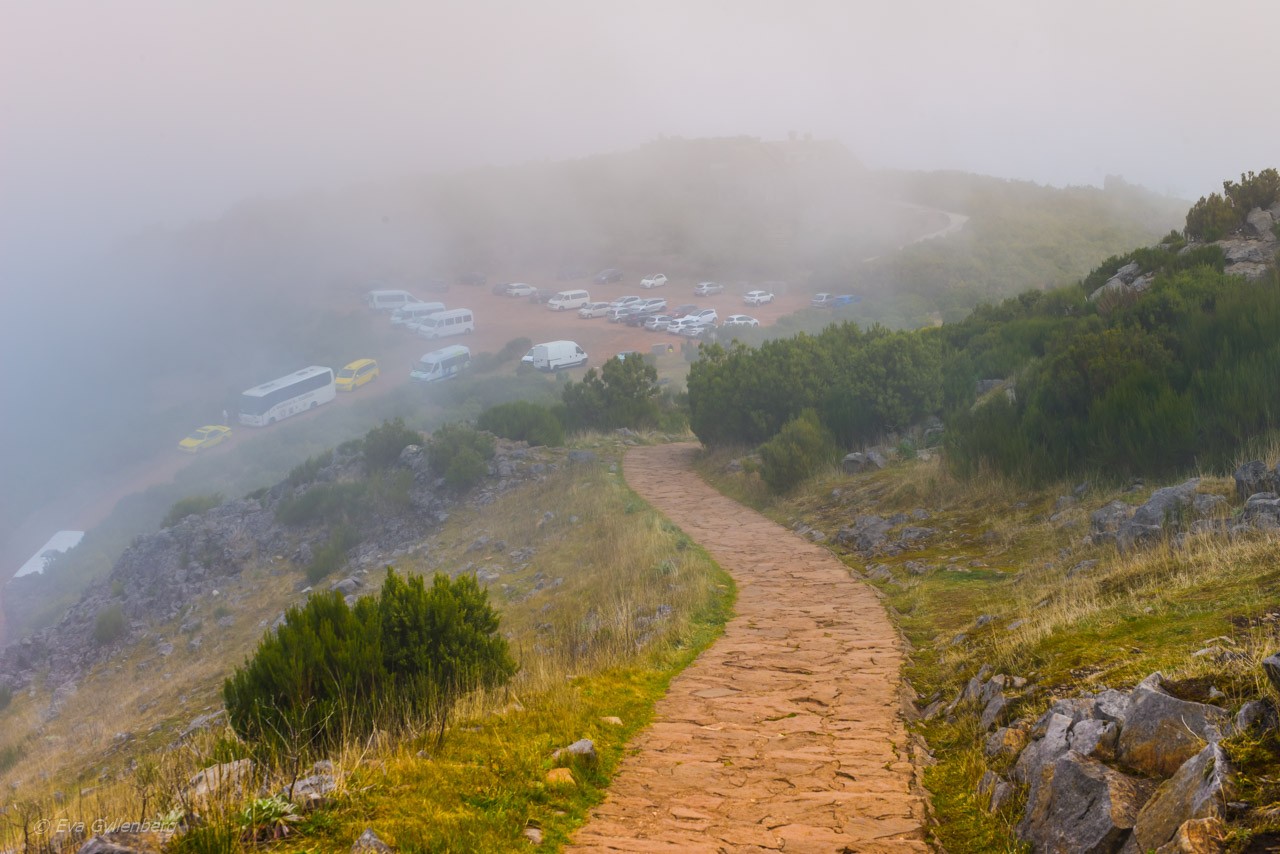 Pico Ruivo - Madeira
