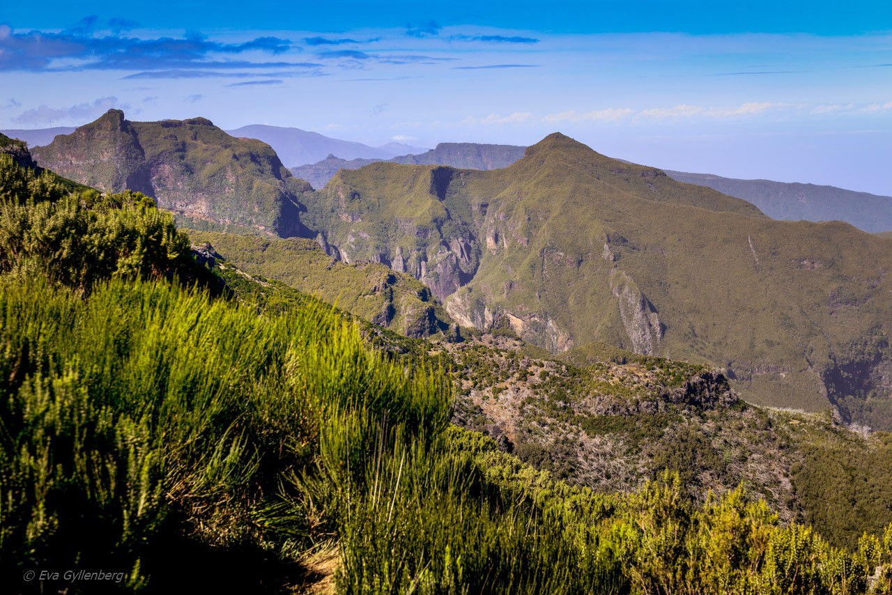 Pico Ruivo - Madeira