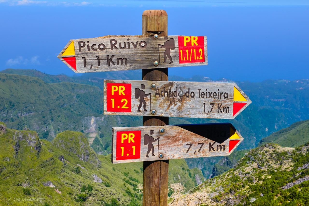 Pico Ruivo - Madeira 