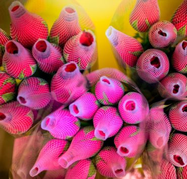 Blomstermarknaden i Hongkong