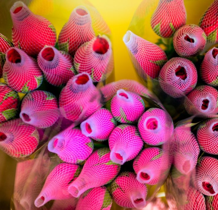 Blomstermarknaden i Hongkong