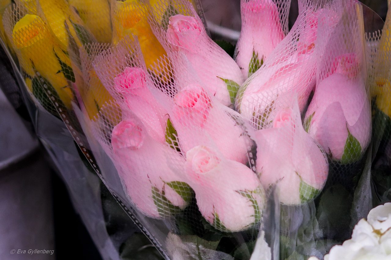 Blomstermarknaden i Hongkong