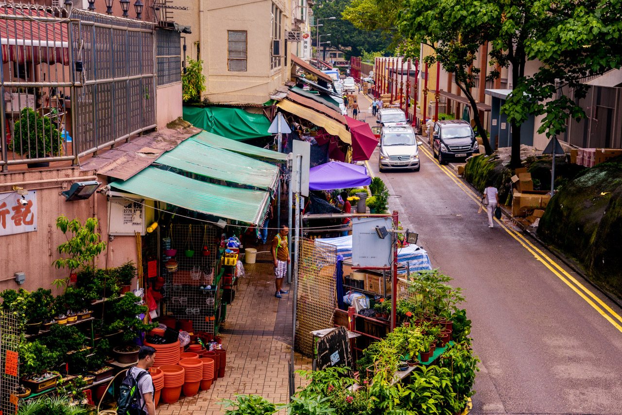 Blomstermarknaden i Hongkong